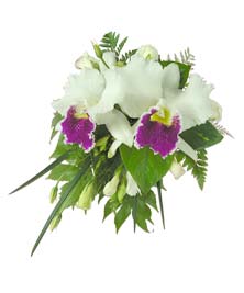 Ver detalle de bouquet de orquideas